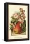 Apple Blossom and Fruit-W.h.j. Boot-Framed Stretched Canvas