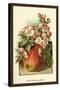 Apple Blossom and Fruit-W.h.j. Boot-Stretched Canvas