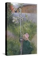 Apple Blossom (Appelblom), 1894-Carl Larsson-Stretched Canvas