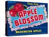 Apple Blossom Apple Label - Wenatchee, WA-Lantern Press-Stretched Canvas