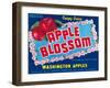 Apple Blossom Apple Label - Wenatchee, WA-Lantern Press-Framed Art Print