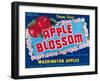 Apple Blossom Apple Label - Wenatchee, WA-Lantern Press-Framed Art Print