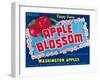 Apple Blossom Apple Label - Wenatchee, WA-Lantern Press-Framed Art Print