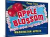 Apple Blossom Apple Label - Wenatchee, WA-Lantern Press-Mounted Art Print