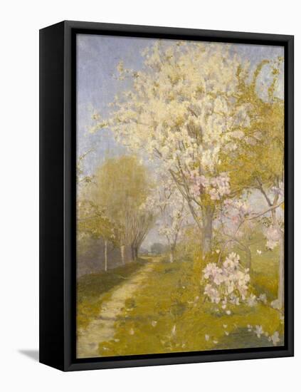 Apple Blossom at Dennemont, 1893-Charles Edward Conder-Framed Stretched Canvas