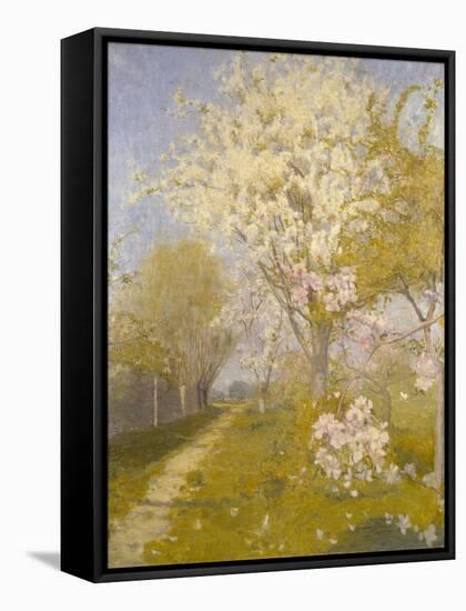 Apple Blossom at Dennemont, 1893-Charles Edward Conder-Framed Stretched Canvas