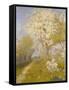 Apple Blossom at Dennemont, 1893-Charles Edward Conder-Framed Stretched Canvas