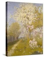 Apple Blossom at Dennemont, 1893-Charles Edward Conder-Stretched Canvas
