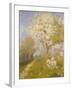 Apple Blossom at Dennemont, 1893-Charles Edward Conder-Framed Giclee Print