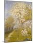 Apple Blossom at Dennemont, 1893-Charles Edward Conder-Mounted Giclee Print