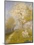 Apple Blossom at Dennemont, 1893-Charles Edward Conder-Mounted Giclee Print