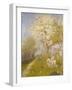 Apple Blossom at Dennemont, 1893-Charles Edward Conder-Framed Giclee Print