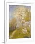 Apple Blossom at Dennemont, 1893-Charles Edward Conder-Framed Giclee Print