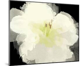 Apple Blossom Flower-Irena Orlov-Mounted Art Print