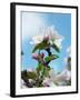 Apple Blossom on the Tree-Chris Schäfer-Framed Photographic Print