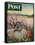 "Apple Blossom Time" Saturday Evening Post Cover, May 6, 1950-John Clymer-Framed Stretched Canvas