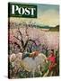 "Apple Blossom Time" Saturday Evening Post Cover, May 6, 1950-John Clymer-Stretched Canvas