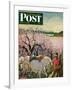 "Apple Blossom Time" Saturday Evening Post Cover, May 6, 1950-John Clymer-Framed Giclee Print