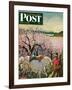 "Apple Blossom Time" Saturday Evening Post Cover, May 6, 1950-John Clymer-Framed Giclee Print