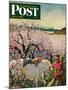 "Apple Blossom Time" Saturday Evening Post Cover, May 6, 1950-John Clymer-Mounted Giclee Print