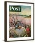 "Apple Blossom Time" Saturday Evening Post Cover, May 6, 1950-John Clymer-Framed Giclee Print