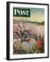 "Apple Blossom Time" Saturday Evening Post Cover, May 6, 1950-John Clymer-Framed Giclee Print