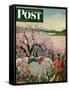 "Apple Blossom Time" Saturday Evening Post Cover, May 6, 1950-John Clymer-Framed Stretched Canvas