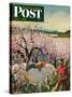 "Apple Blossom Time" Saturday Evening Post Cover, May 6, 1950-John Clymer-Stretched Canvas