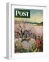 "Apple Blossom Time" Saturday Evening Post Cover, May 6, 1950-John Clymer-Framed Giclee Print