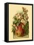 Apple Blossom-Vision Studio-Framed Stretched Canvas