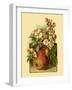 Apple Blossom-Vision Studio-Framed Art Print