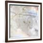 Apple Blossoms 01-LightBoxJournal-Framed Giclee Print