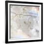 Apple Blossoms 01-LightBoxJournal-Framed Giclee Print