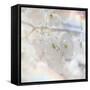 Apple Blossoms 01-LightBoxJournal-Framed Stretched Canvas