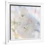 Apple Blossoms 02-LightBoxJournal-Framed Giclee Print