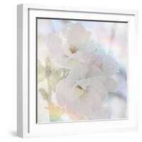 Apple Blossoms 02-LightBoxJournal-Framed Giclee Print