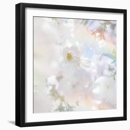 Apple Blossoms 03-LightBoxJournal-Framed Giclee Print