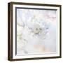 Apple Blossoms 04-LightBoxJournal-Framed Giclee Print