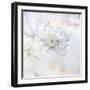 Apple Blossoms 04-LightBoxJournal-Framed Giclee Print