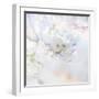 Apple Blossoms 04-LightBoxJournal-Framed Giclee Print