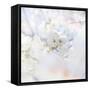 Apple Blossoms 04-LightBoxJournal-Framed Stretched Canvas