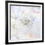 Apple Blossoms 04-LightBoxJournal-Framed Giclee Print