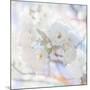 Apple Blossoms 05-LightBoxJournal-Mounted Giclee Print