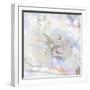 Apple Blossoms 05-LightBoxJournal-Framed Giclee Print