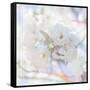 Apple Blossoms 05-LightBoxJournal-Framed Stretched Canvas