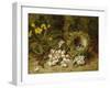 Apple Blossoms, a Primrose and Birds Nest on a Mossy Bank-Clare Oliver-Framed Giclee Print