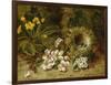 Apple Blossoms, a Primrose and Birds Nest on a Mossy Bank-Clare Oliver-Framed Giclee Print