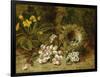 Apple Blossoms, a Primrose and Birds Nest on a Mossy Bank-Clare Oliver-Framed Giclee Print