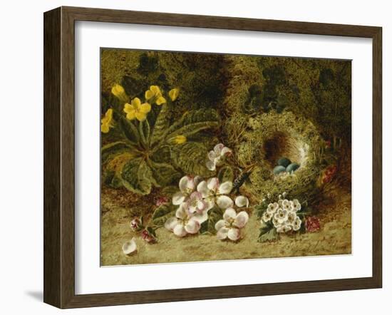 Apple Blossoms, a Primrose and Birds Nest on a Mossy Bank-Oliver Clare-Framed Giclee Print