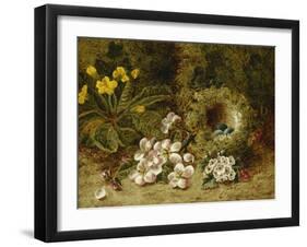 Apple Blossoms, a Primrose and Birds Nest on a Mossy Bank-Oliver Clare-Framed Giclee Print